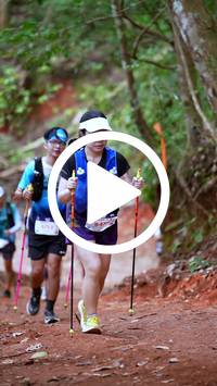 BIB:  <button type="button" onclick="openModal(27508652)" class="btn btn-primary btn-sm float-right" data-toggle="modal" data-target=".modal-high-quality">
                <i class="fa fa-download"></i> Download
                </button>